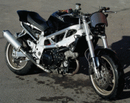 IMGP12022.gif