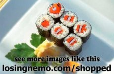 nemodesushi.jpg