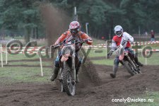 IMG_7932.jpg