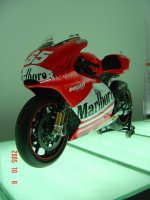 DSC01203.JPG