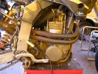 DSCN2254 (Medium).JPG