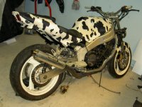fzr18jt.jpg