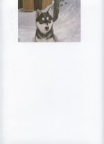 Bild 003.jpg