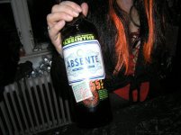 Absintendokument.JPG