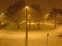 snö 001 (Large).jpg