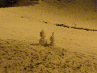 snö 003 (Large).jpg