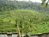 Bali 157.jpg