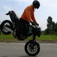 nossrednamik