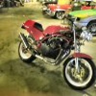 SuzukiBakker
