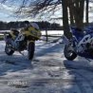 Nalle 556