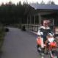 moggemoto