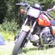guzzan
