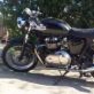 Thruxton-Dude