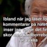 Björnen1