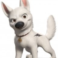Mr Bolt