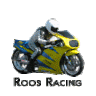 RoosRacing