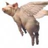 FlyingPig