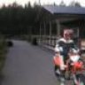 moggemoto