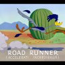 TheRoadrunner