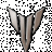 woshiba