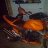 rille_83