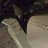 Hedin_628