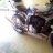 alex_81
